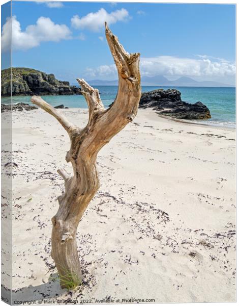 Driftwood tree, Colonsay and Jura, Scotland Canvas Print by Photimageon UK