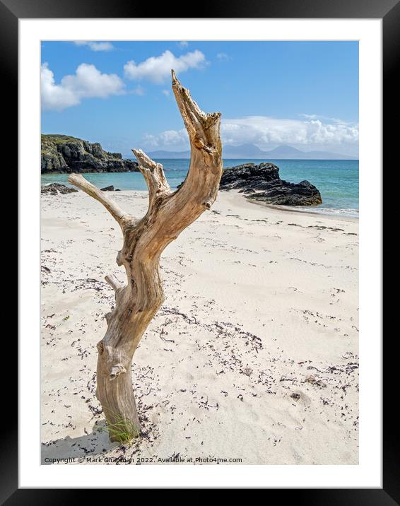 Driftwood tree, Colonsay and Jura, Scotland Framed Mounted Print by Photimageon UK