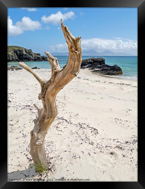 Driftwood tree, Colonsay and Jura, Scotland Framed Print by Photimageon UK