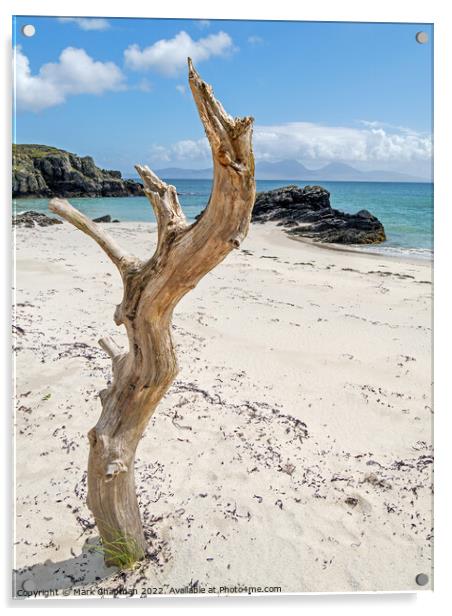 Driftwood tree, Colonsay and Jura, Scotland Acrylic by Photimageon UK