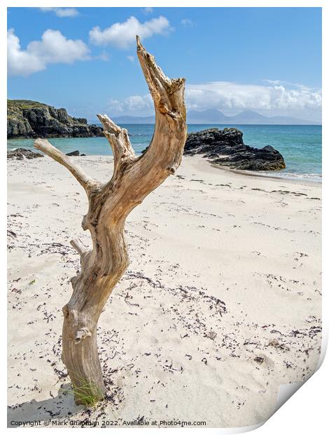 Driftwood tree, Colonsay and Jura, Scotland Print by Photimageon UK