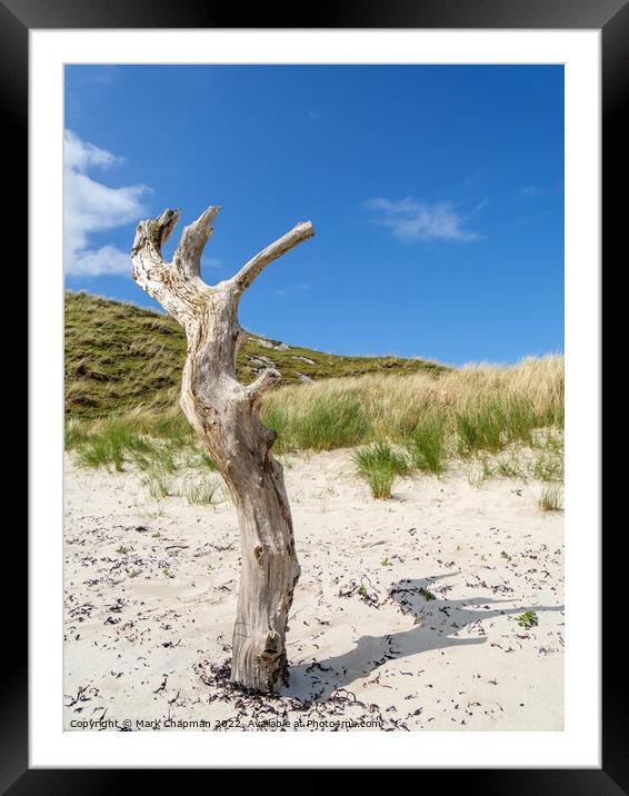Dead tree in the sand Framed Mounted Print by Photimageon UK