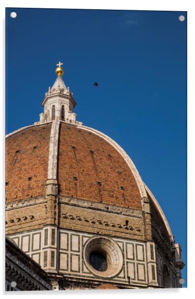 Florence Cathedral Duomo Acrylic by Phil Crean