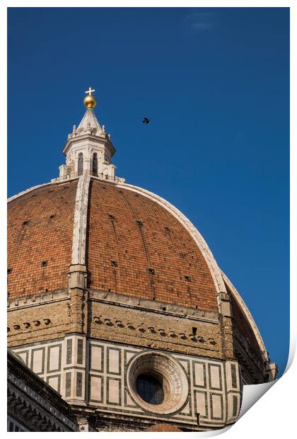 Florence Cathedral Duomo Print by Phil Crean