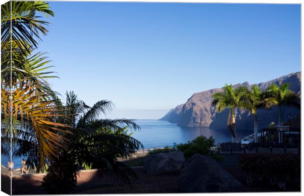 Los Gigantes cliffs and palm trees Tenerife Canvas Print by Phil Crean