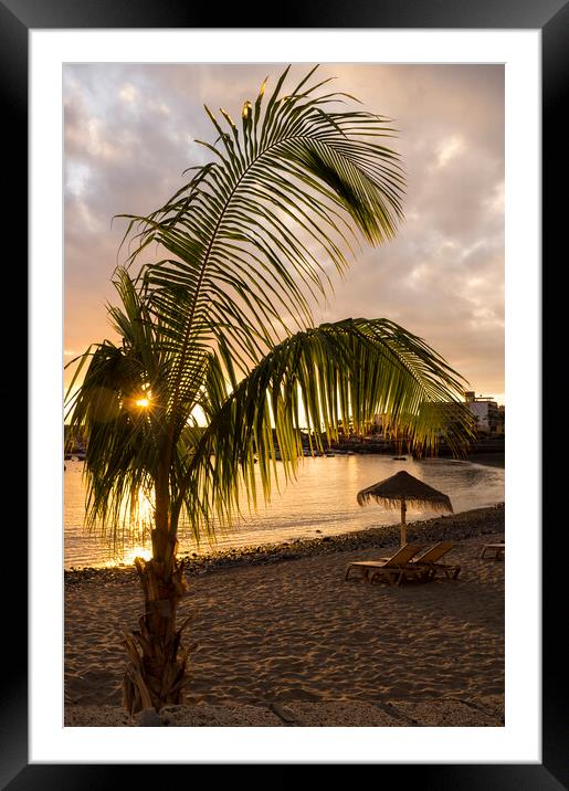 Palm tree on Playa San Juan beach, Tenerife Framed Mounted Print by Phil Crean