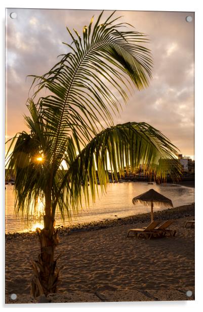 Palm tree on Playa San Juan beach, Tenerife Acrylic by Phil Crean