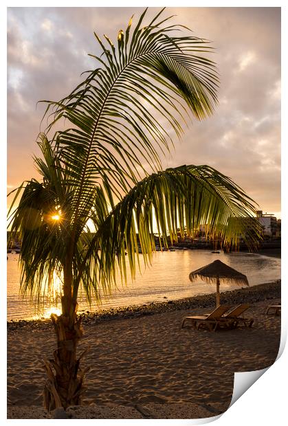 Palm tree on Playa San Juan beach, Tenerife Print by Phil Crean