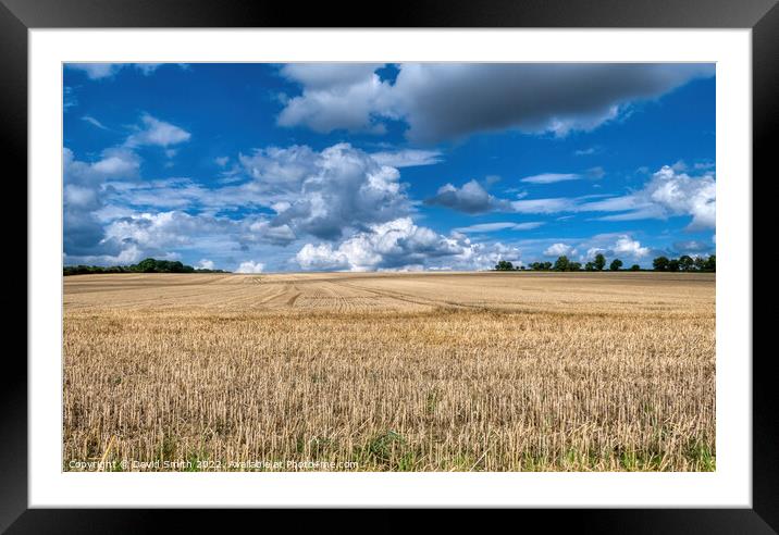 harvested field Framed Mounted Print by David Smith