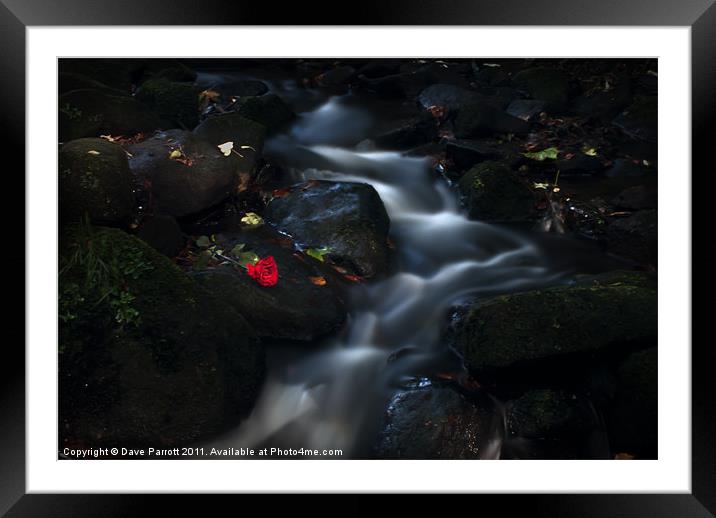 Lost Love at a Waters Edge Framed Mounted Print by Daves Photography