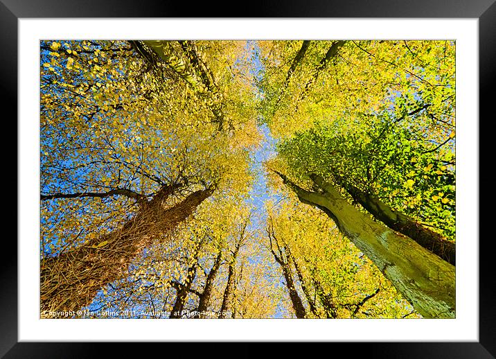 Autumn Sky Framed Mounted Print by Ian Collins