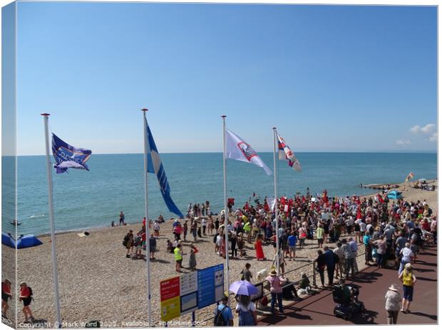 Hastings Sewage Protest. Canvas Print by Mark Ward