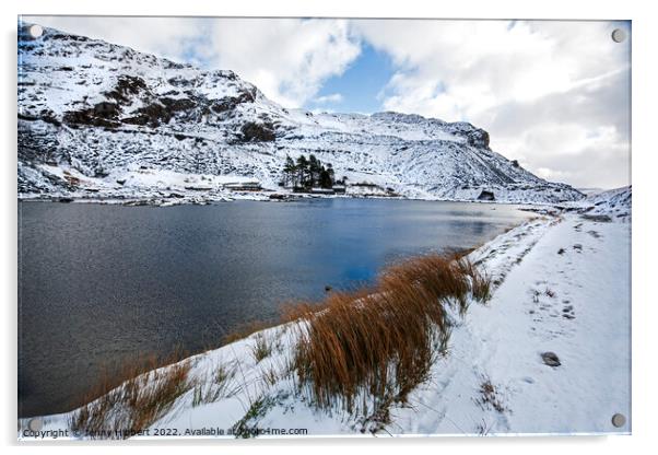 Cwmorthin lake, Snowdonia National Park Acrylic by Jenny Hibbert