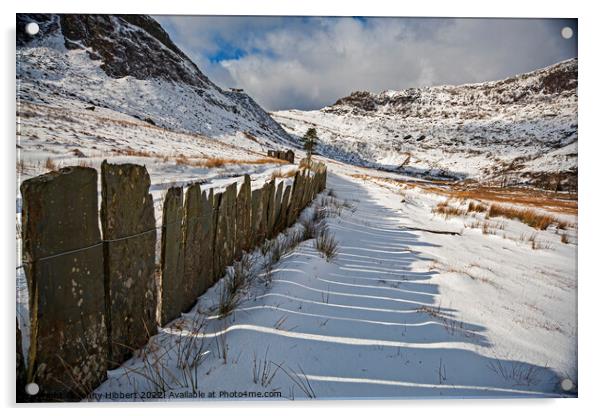 Cwmorthin walk to slate quarry Snowdonia National Park Acrylic by Jenny Hibbert