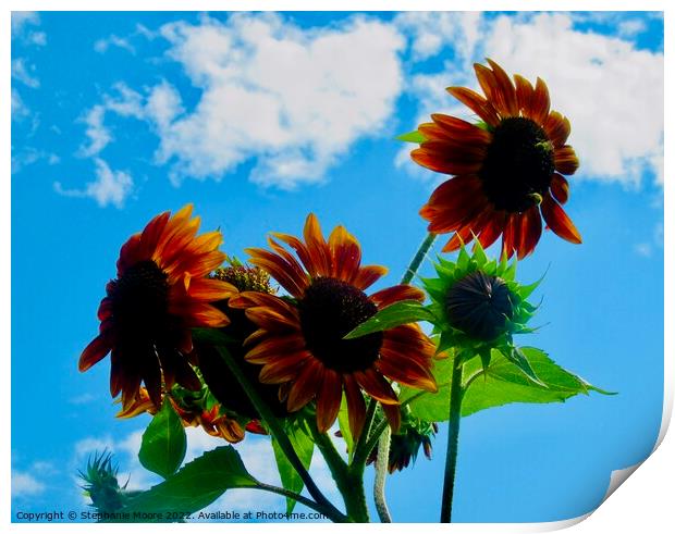 Reaching for the Sky Print by Stephanie Moore