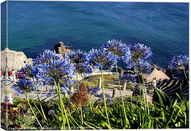 Flowers over Minack Canvas Print by Joanne Crockford