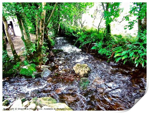 Another stream at Glencar Print by Stephanie Moore