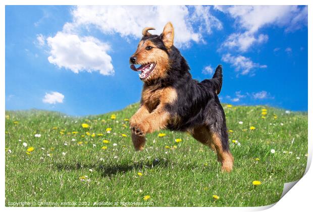 Young black and Tan Terrier leaping for joy Print by Christine Kerioak