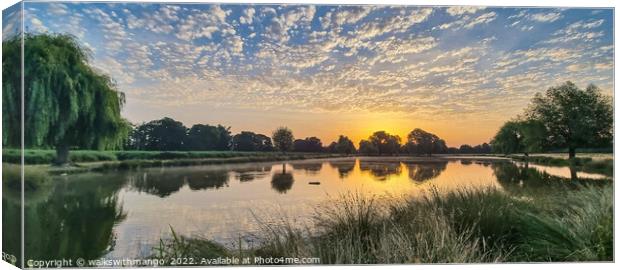 Sunrise ft Cirrocumulus Clouds Canvas Print by walkswithmango 