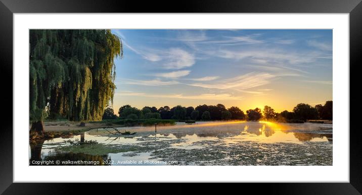 A Beautiful Day Framed Mounted Print by walkswithmango 