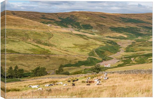 The Hudes Hope and Coldberry Mine, Teesdale in Late Summer  Canvas Print by Richard Laidler