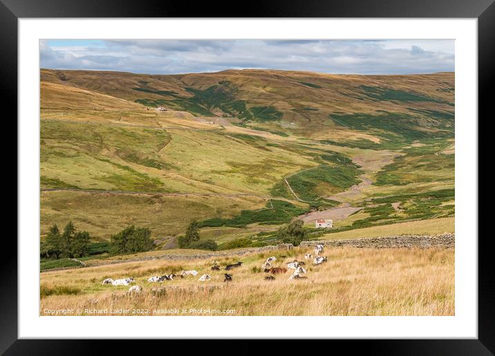 The Hudes Hope and Coldberry Mine, Teesdale in Late Summer  Framed Mounted Print by Richard Laidler