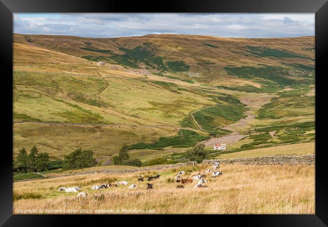 The Hudes Hope and Coldberry Mine, Teesdale in Late Summer  Framed Print by Richard Laidler