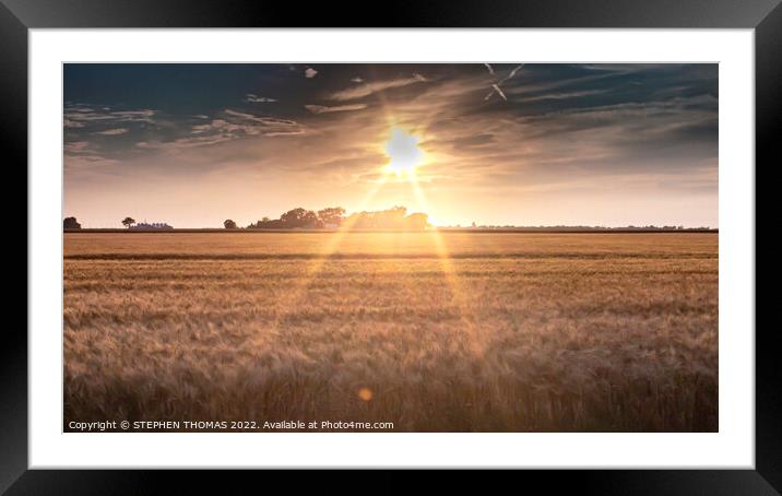 Sun's coming down on the prairies Framed Mounted Print by STEPHEN THOMAS