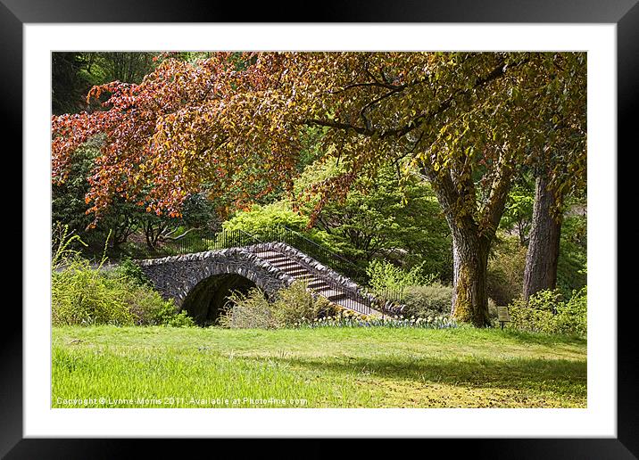 A Botanical Walk Framed Mounted Print by Lynne Morris (Lswpp)