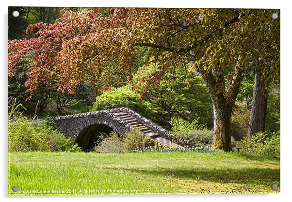 A Botanical Walk Acrylic by Lynne Morris (Lswpp)
