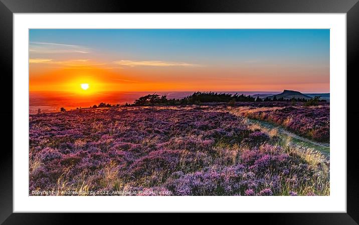 A sunset over a grass field Framed Mounted Print by Andrew  Sturdy