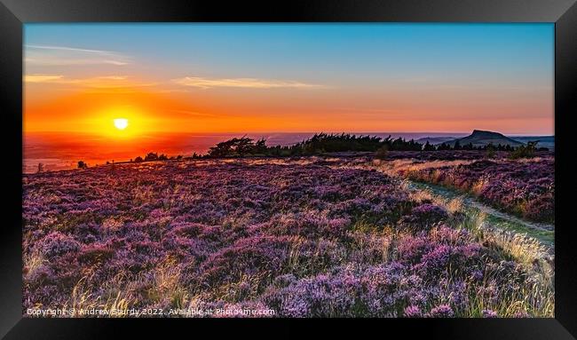 A sunset over a grass field Framed Print by Andrew  Sturdy