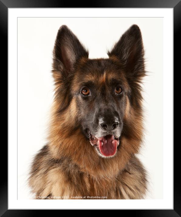 German Shepherd Dog  Portrait Framed Mounted Print by Christine Kerioak