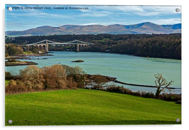 Taking in the view of the Menai Straits  Acrylic by Jenny Hibbert