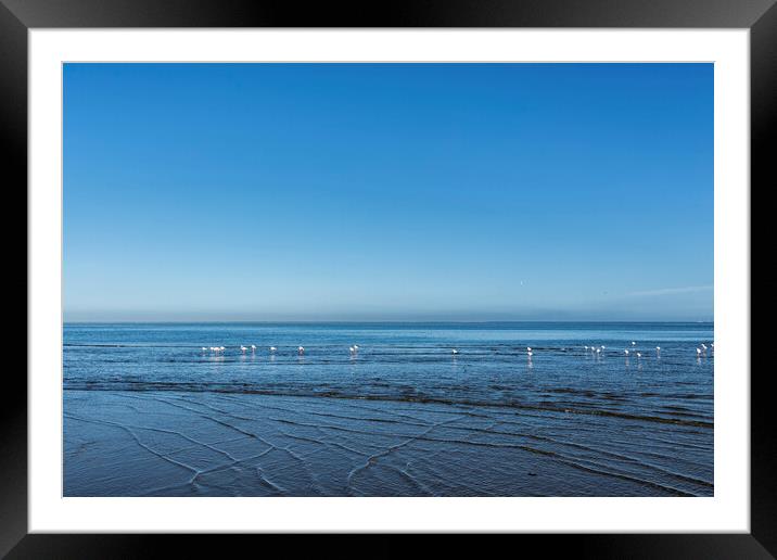 Morning at Walvis Bay Framed Mounted Print by Belinda Greb