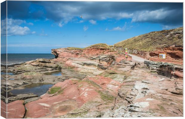Red rock on Hilbre Island Canvas Print by Jason Wells