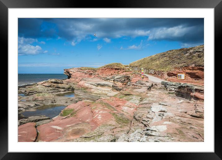 Red rock on Hilbre Island Framed Mounted Print by Jason Wells