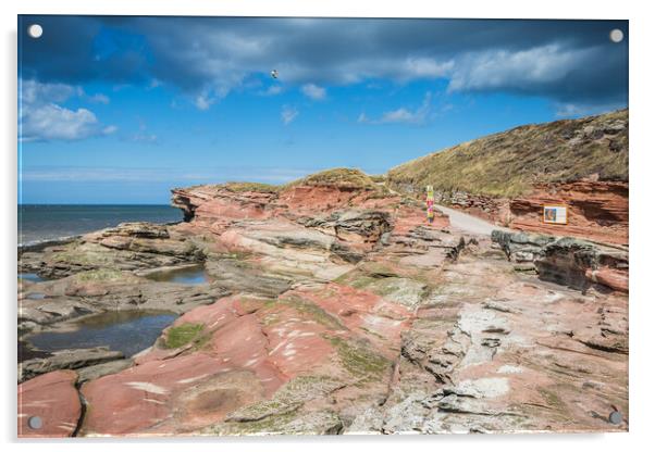 Red rock on Hilbre Island Acrylic by Jason Wells