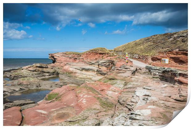 Red rock on Hilbre Island Print by Jason Wells