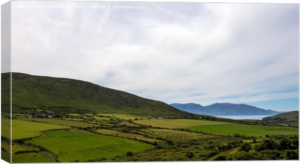 Irish Landscape, Dingle peninsula, Ireland Canvas Print by Derek Daniel