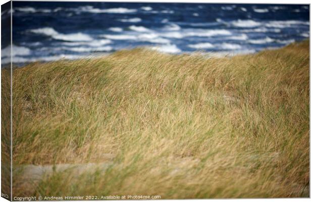 Beach grass, dune and sea waves Canvas Print by Andreas Himmler