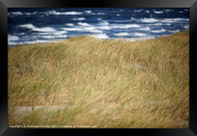Beach grass, dune and sea waves Framed Print by Andreas Himmler