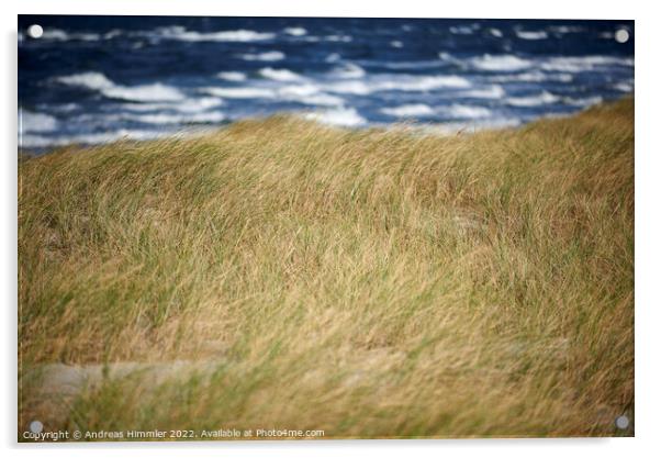 Beach grass, dune and sea waves Acrylic by Andreas Himmler