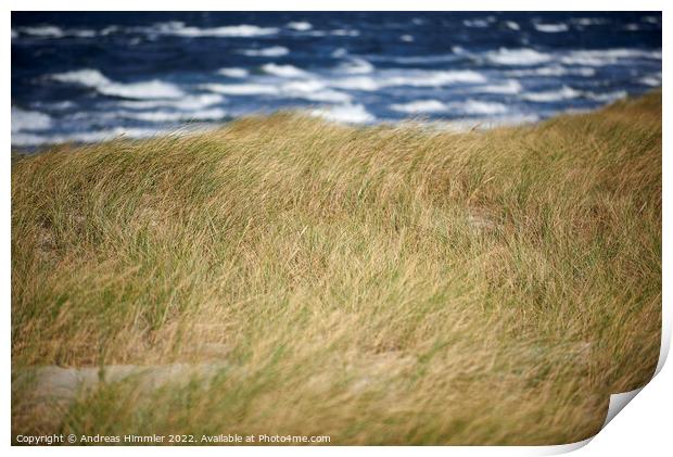 Beach grass, dune and sea waves Print by Andreas Himmler