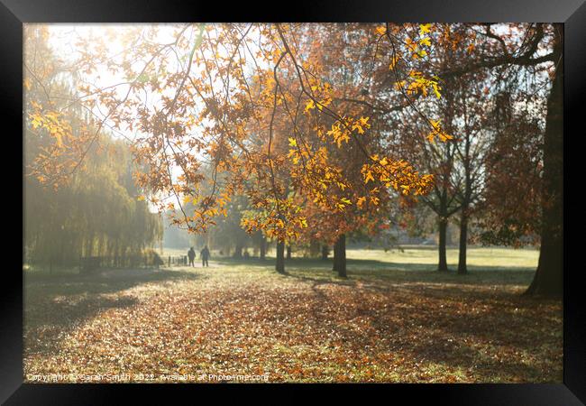 Autumn in Manor Park, Aldershot Framed Print by Sarah Smith