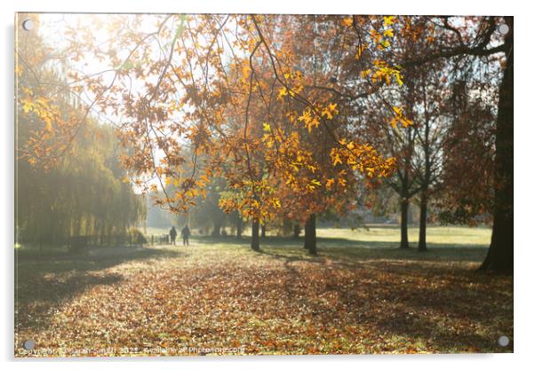 Autumn in Manor Park, Aldershot Acrylic by Sarah Smith