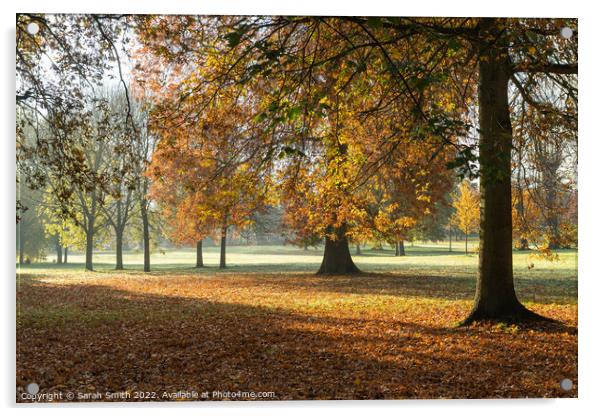 Manor Park Autumnal Scene Acrylic by Sarah Smith