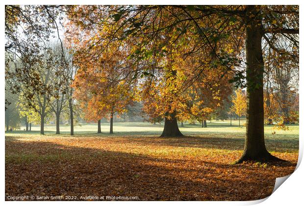 Manor Park Autumnal Scene Print by Sarah Smith