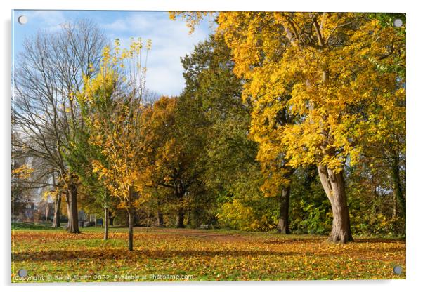 Manor Park Trees in Autumn Acrylic by Sarah Smith