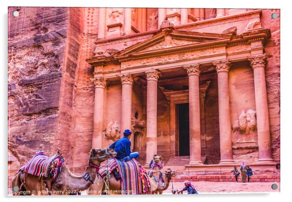 Rose Pink Red Treasury Afternoon Camels Petra Jordan  Acrylic by William Perry